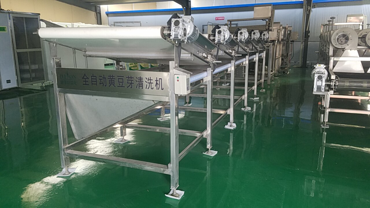 大型黃豆芽清洗去殼機(jī)